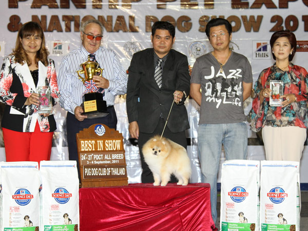TH.CH.GOLDEN STAR’S THE HEAT IS ON